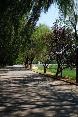 北京男篮|北京的初秋时节，来这些地方走走吧