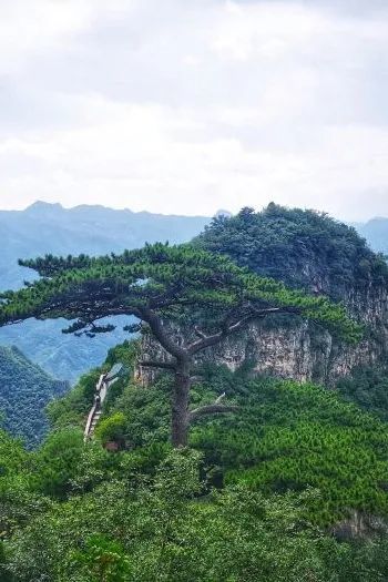 北京男篮|北京的初秋时节，来这些地方走走吧
