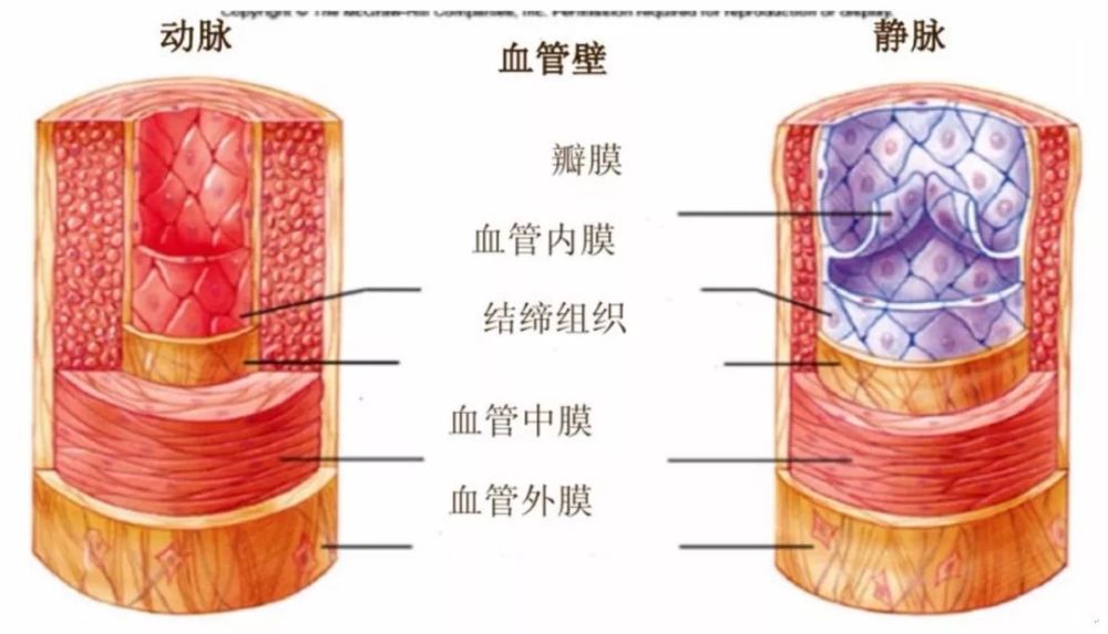 如何找出殘留血管的