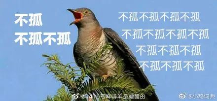 有微博网友表示,"不管是谁给你点了青蛙或者布谷鸟,都应该觉得幸运吧