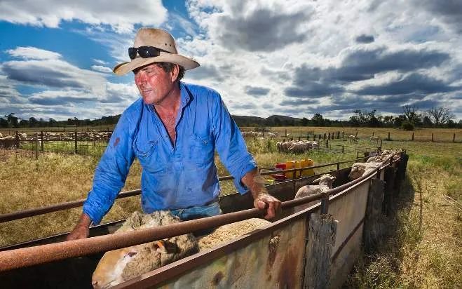 中澳贸易紧张关系下的澳大利亚农民