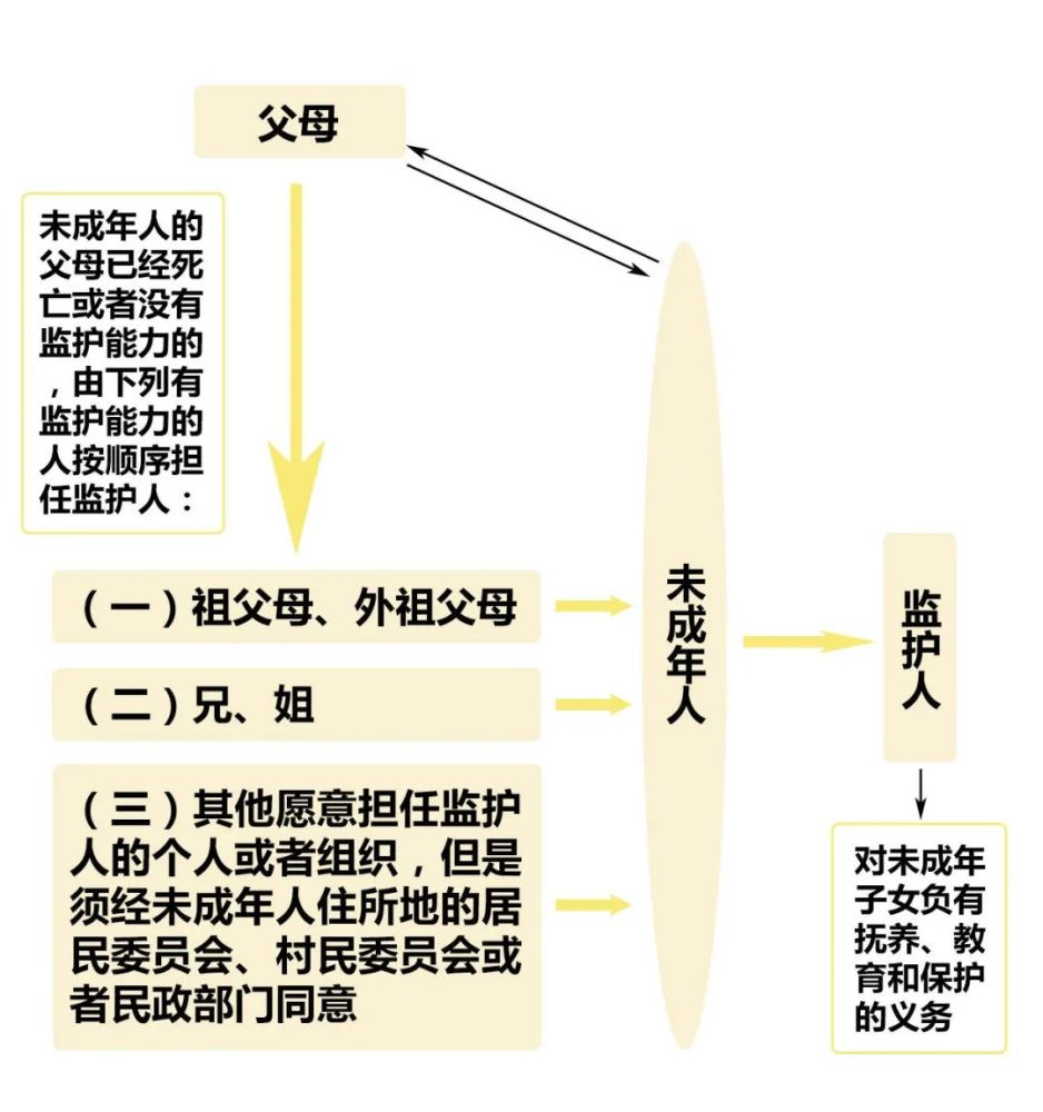 监护人的职责图片