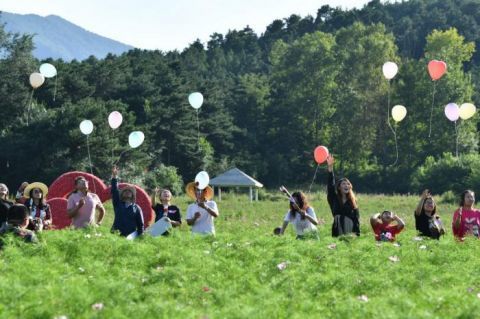 四海镇|“香”约七夕 打卡浪漫花海