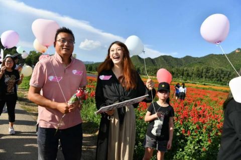 四海镇|“香”约七夕 打卡浪漫花海