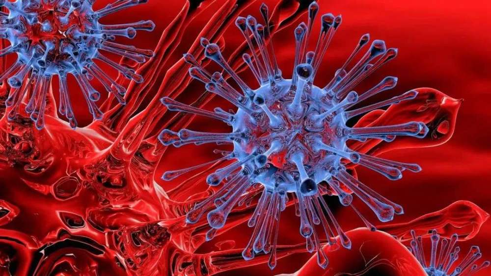 特效药|新冠疫情出现大反转！专家发现一重要线索，特效药或指日可待