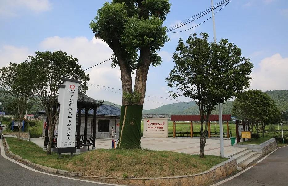 陶家湾村:壮大村集体经济助推乡村振兴_腾讯新闻