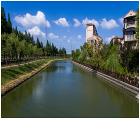 钱桥长浜启秀绿地西横泾菊园新区姚泾岸高陆河蔡家村河园艺河嘉定区