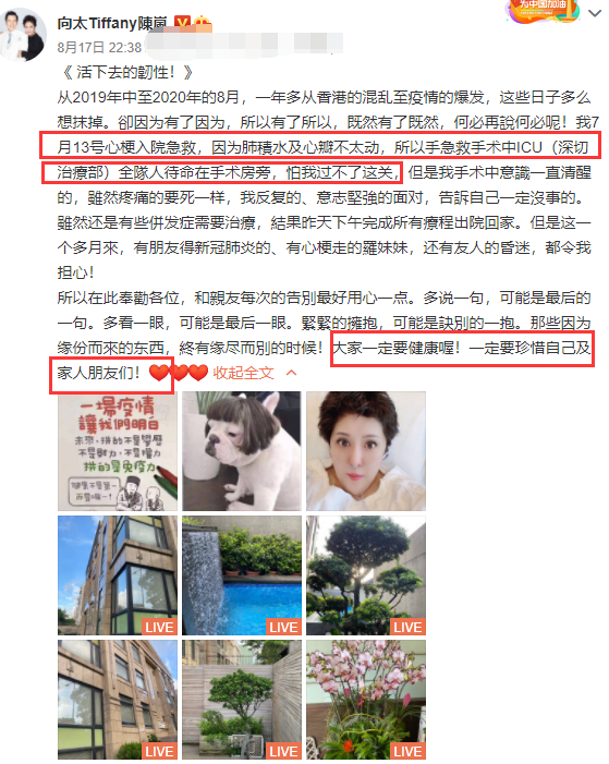 郭碧婷|七夕节庆红宝石婚，向太出院后期待十年后金婚，不忘宽慰郭碧婷学会等待