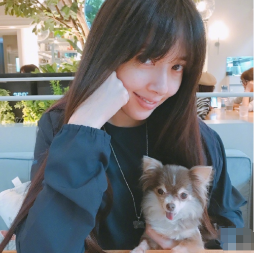 郭碧婷|七夕节庆红宝石婚，向太出院后期待十年后金婚，不忘宽慰郭碧婷学会等待