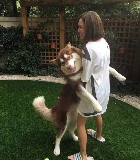王思聪|王思聪的前女友们，个个貌美如花，如今过得怎样？