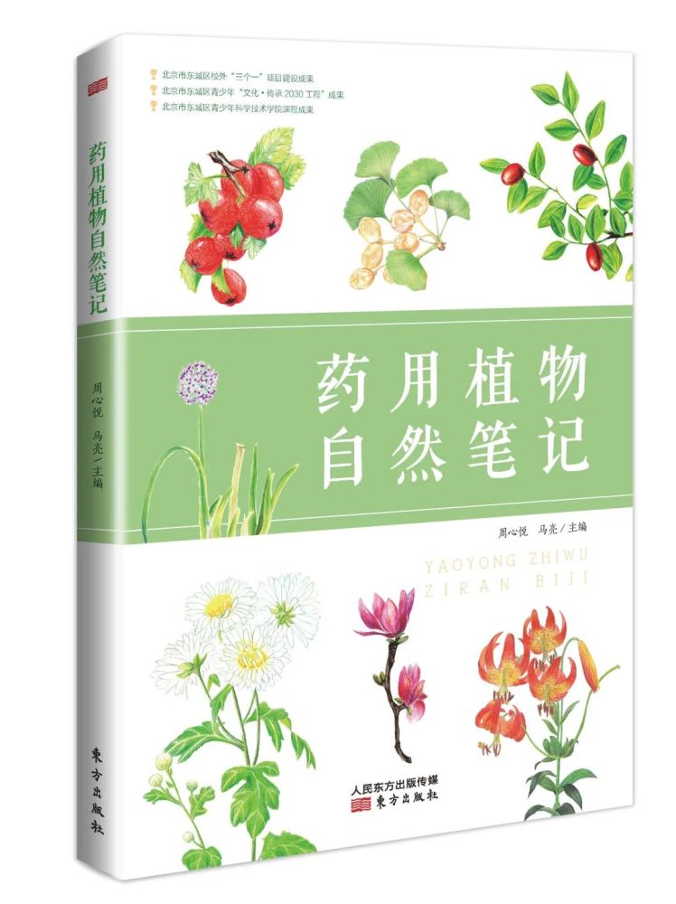 教师节|教师节有奖征集！快来晒出你的表白语