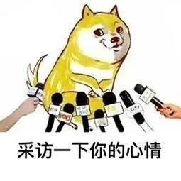 潘玮柏|七夕特辑！今年超十位明星结婚，魏晨最长情，潘玮柏遭粉丝回踩