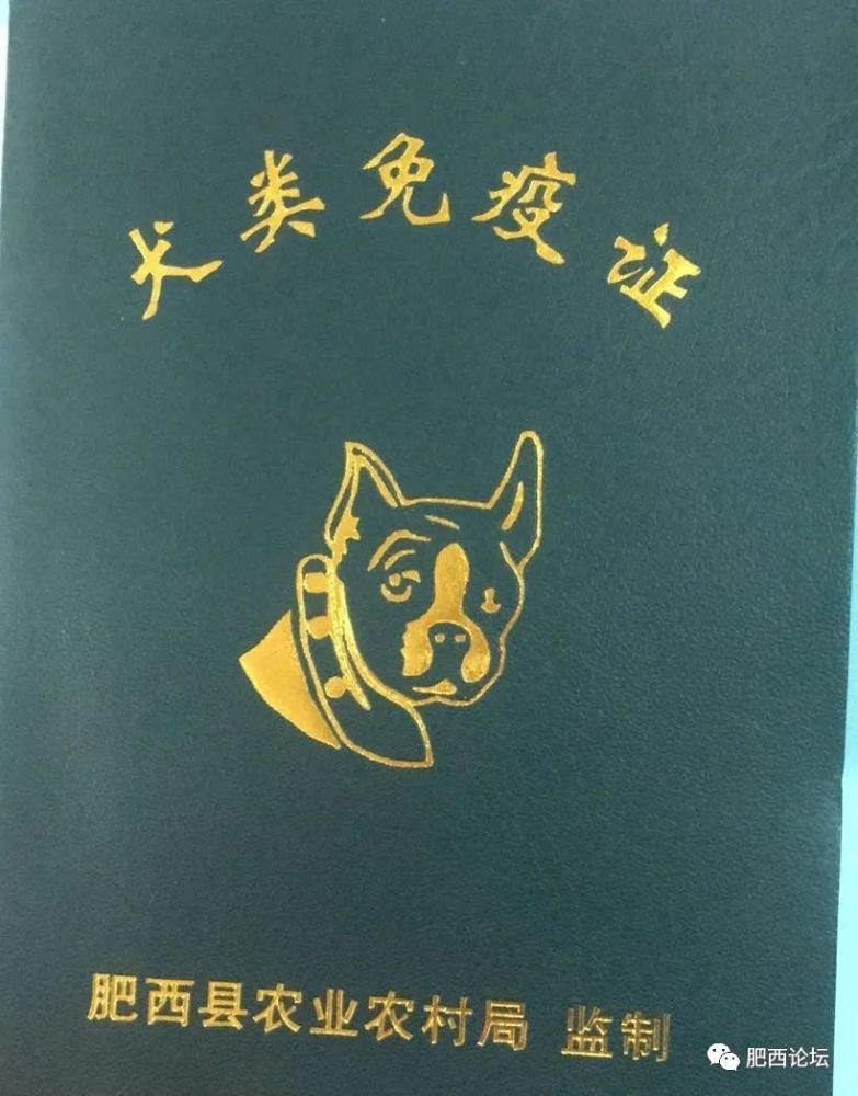 肥西养狗证长这个样子,已经开始办理,请对照准备_腾讯新闻