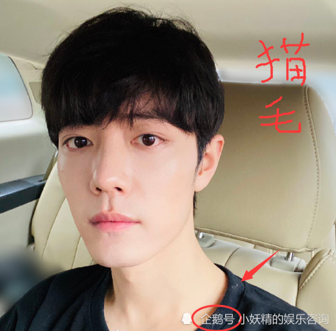 肖战|肖战情人节爆炸式惊喜！新自拍1小时，获200万人点赞，人气依旧是顶流！