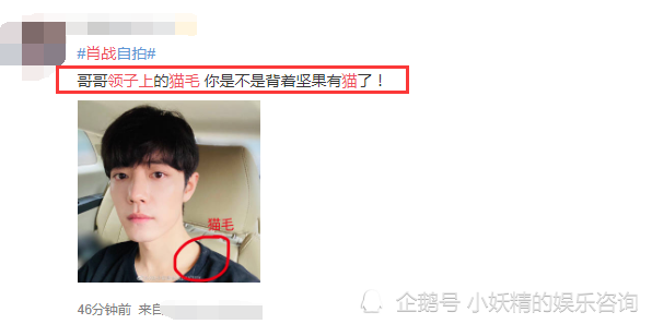 肖战|肖战情人节爆炸式惊喜！新自拍1小时，获200万人点赞，人气依旧是顶流！