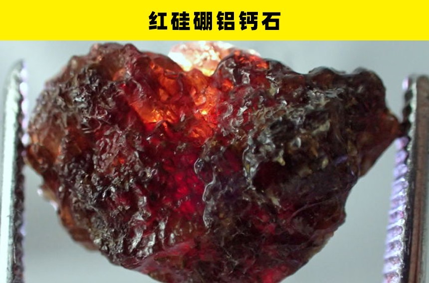 稀有的收藏品:世界上的7个极度昂贵,但很稀有的收藏品