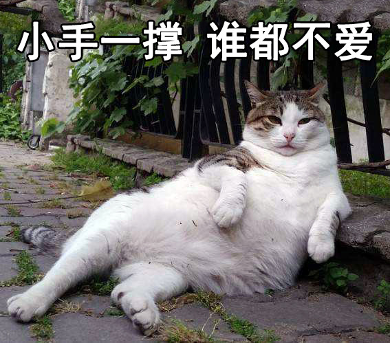 "红尘"表情包:让你们爱啊爱地去酸去吧,我一个狗保持清香就行