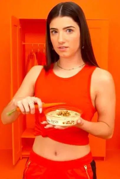 tiktok|没有了TikTok，年轻人们该如何成为明星？