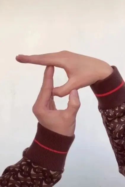 tiktok|没有了TikTok，年轻人们该如何成为明星？