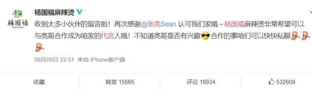 杨国福麻辣烫|为什么东北人统治了麻辣烫江湖？