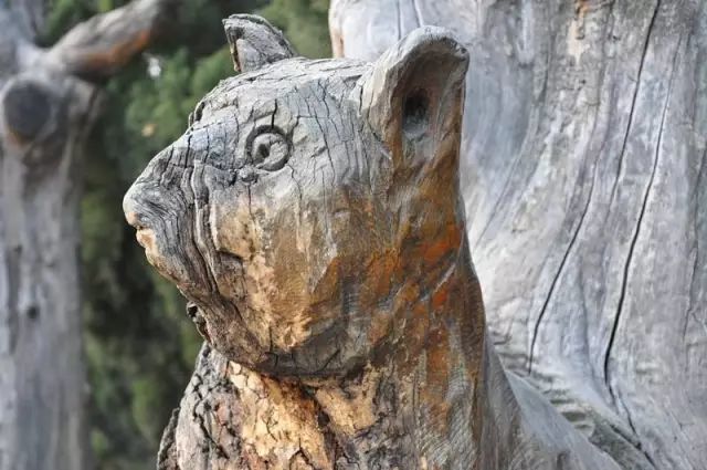 石雕|神奇的树雕艺术，大开眼界！