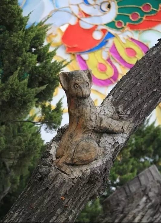 石雕|神奇的树雕艺术，大开眼界！