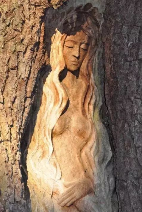 石雕|神奇的树雕艺术，大开眼界！