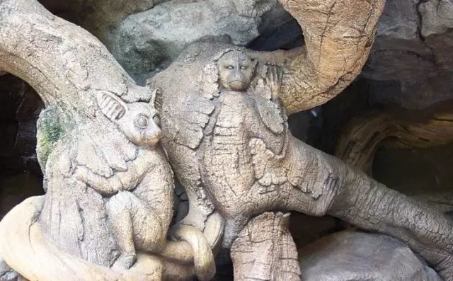 石雕|神奇的树雕艺术，大开眼界！