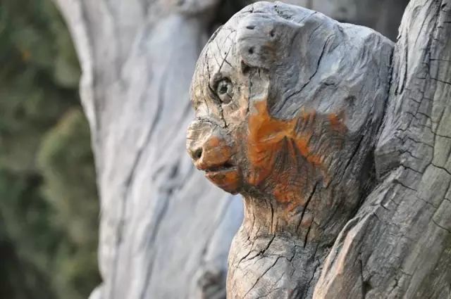 石雕|神奇的树雕艺术，大开眼界！