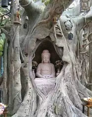 石雕|神奇的树雕艺术，大开眼界！