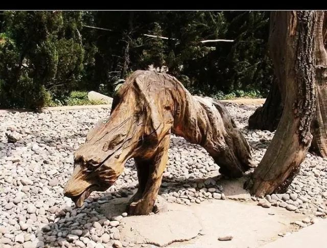 石雕|神奇的树雕艺术，大开眼界！