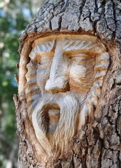 石雕|神奇的树雕艺术，大开眼界！