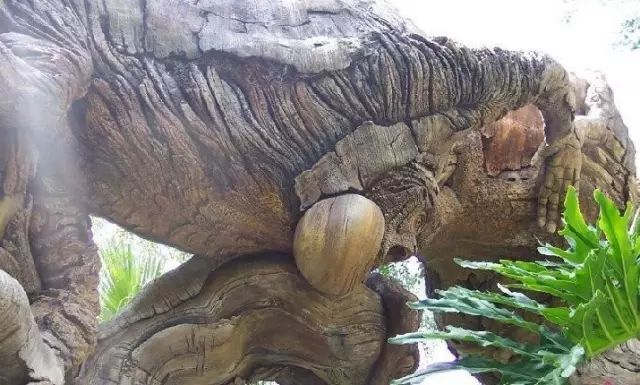 石雕|神奇的树雕艺术，大开眼界！