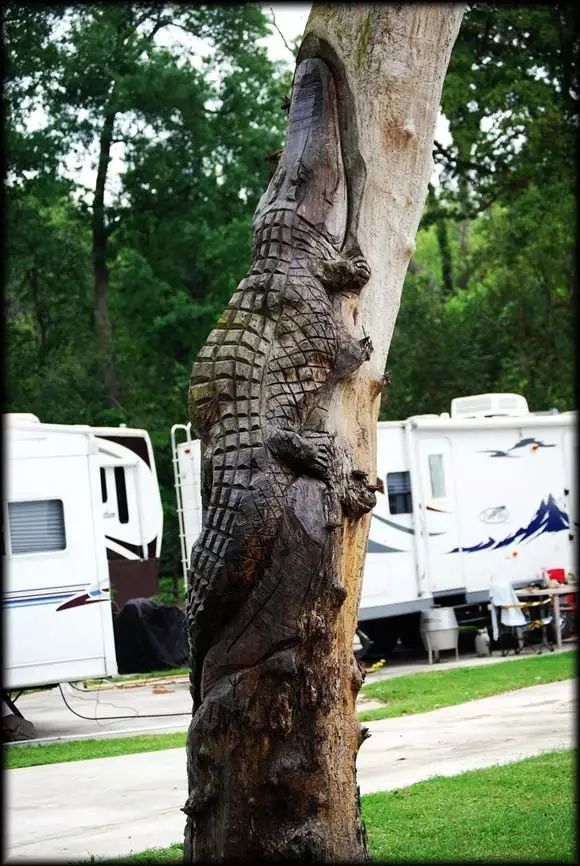 石雕|神奇的树雕艺术，大开眼界！