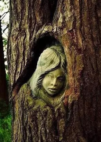 石雕|神奇的树雕艺术，大开眼界！