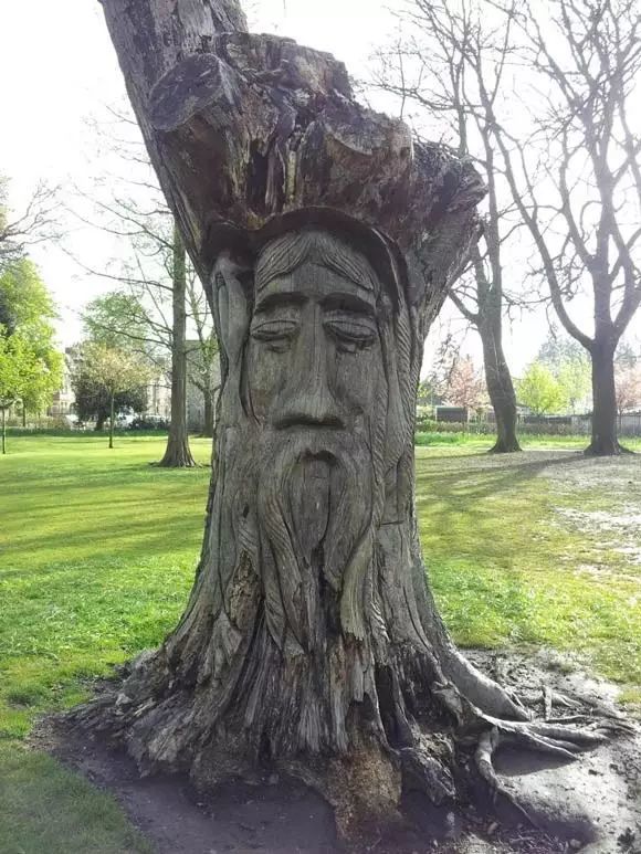 石雕|神奇的树雕艺术，大开眼界！