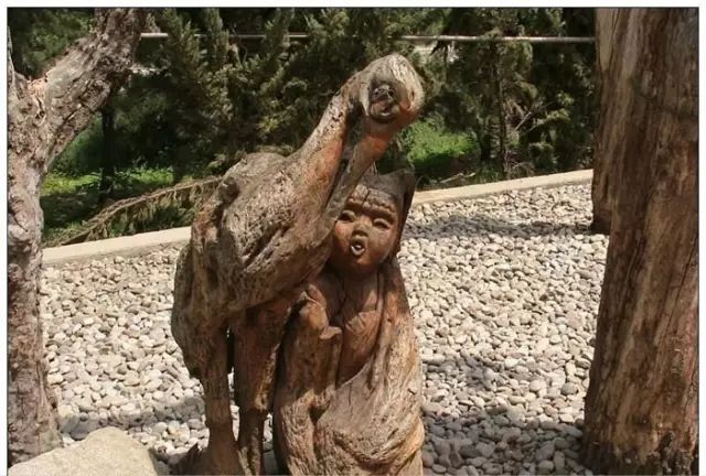 石雕|神奇的树雕艺术，大开眼界！