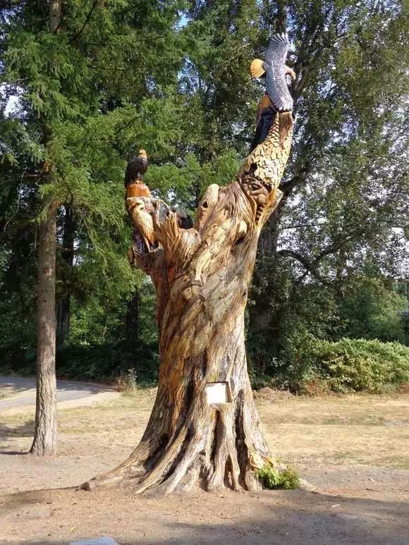 石雕|神奇的树雕艺术，大开眼界！