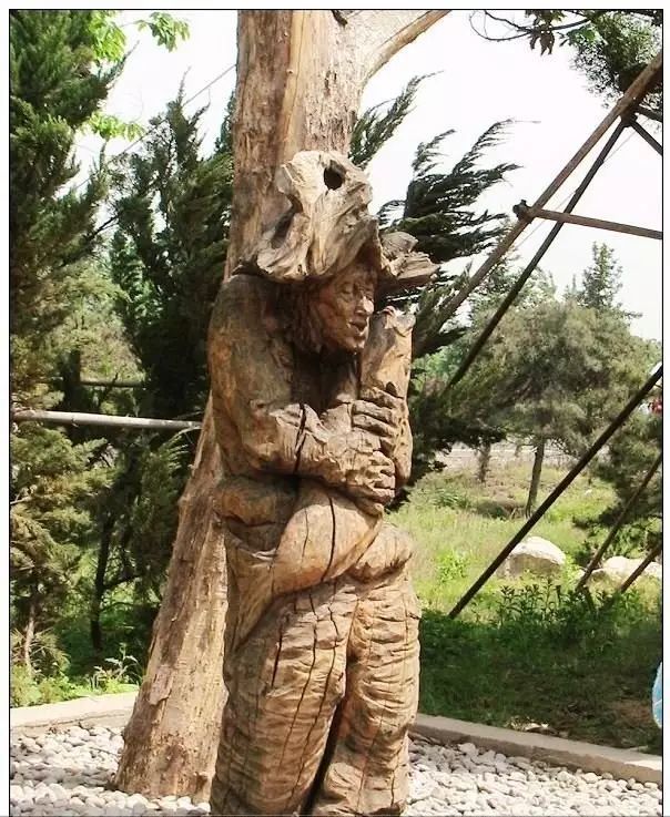 石雕|神奇的树雕艺术，大开眼界！