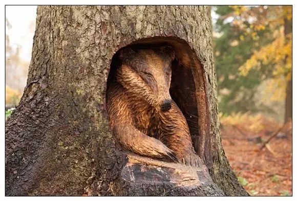 石雕|神奇的树雕艺术，大开眼界！