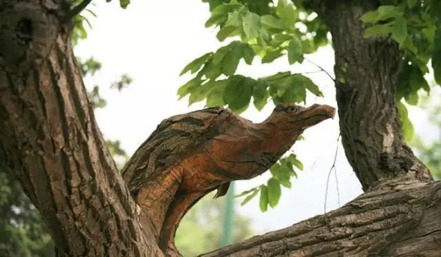 石雕|神奇的树雕艺术，大开眼界！