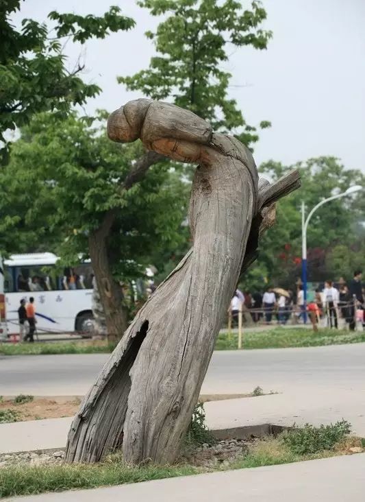 石雕|神奇的树雕艺术，大开眼界！