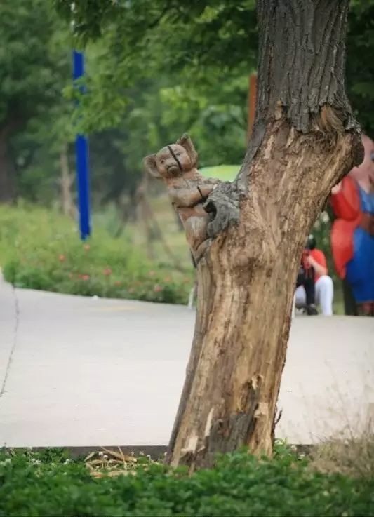 石雕|神奇的树雕艺术，大开眼界！