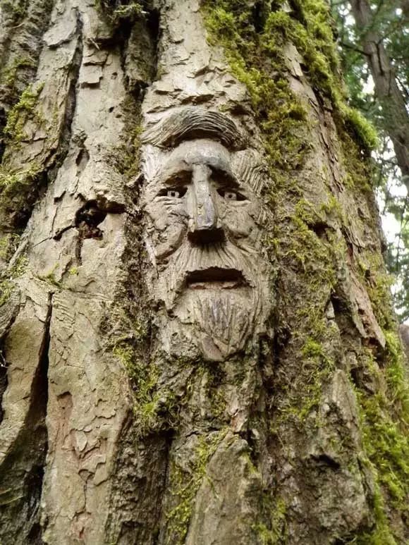 石雕|神奇的树雕艺术，大开眼界！