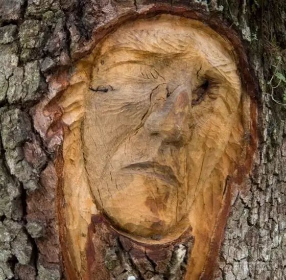 石雕|神奇的树雕艺术，大开眼界！