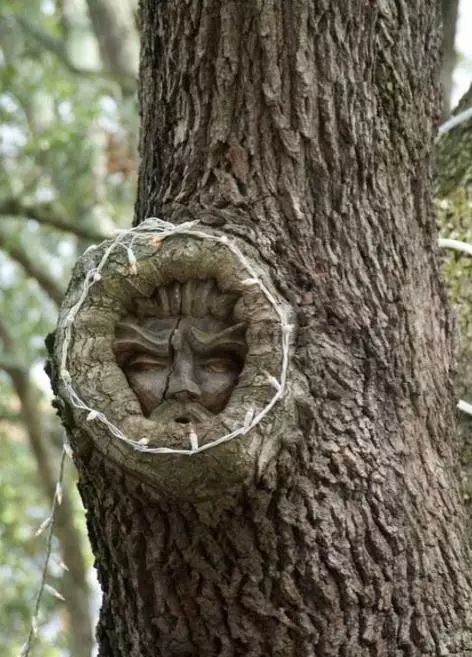 石雕|神奇的树雕艺术，大开眼界！