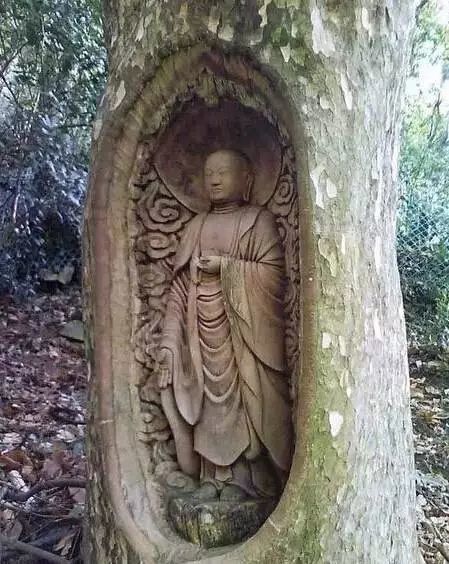 石雕|神奇的树雕艺术，大开眼界！