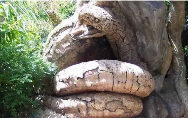 石雕|神奇的树雕艺术，大开眼界！