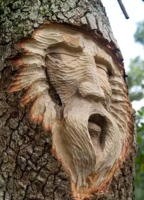 石雕|神奇的树雕艺术，大开眼界！