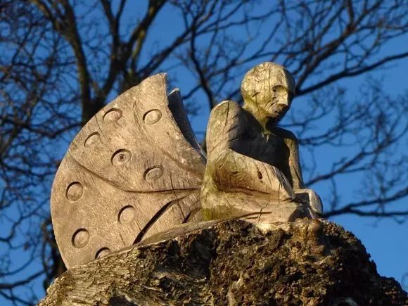 石雕|神奇的树雕艺术，大开眼界！